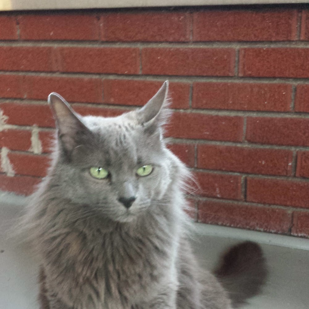 Meet your Posher, Julia